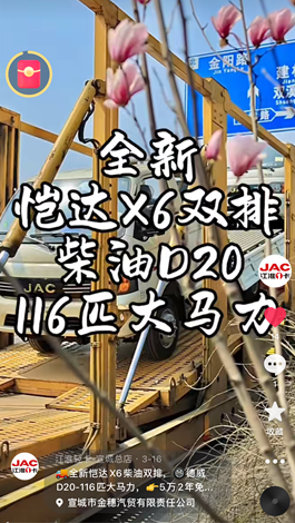 全新愷達(dá)X6柴油雙排，德威D20-116匹大馬力。